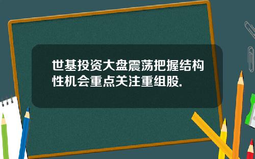 世基投资大盘震荡把握结构性机会重点关注重组股.