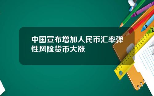 中国宣布增加人民币汇率弹性风险货币大涨