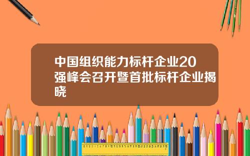 中国组织能力标杆企业20强峰会召开暨首批标杆企业揭晓