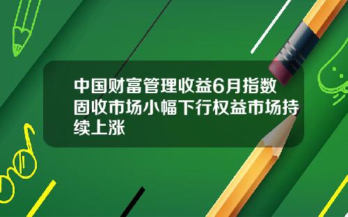 中国财富管理收益6月指数固收市场小幅下行权益市场持续上涨