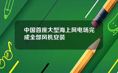 中国首座大型海上风电场完成全部风机安装