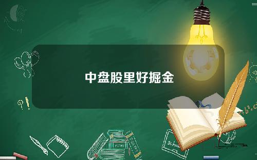 中盘股里好掘金