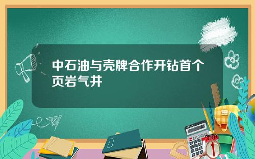 中石油与壳牌合作开钻首个页岩气井