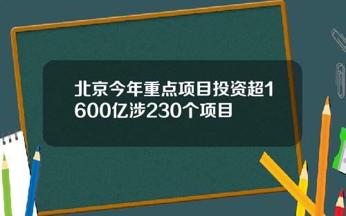 北京今年重点项目投资超1600亿涉230个项目