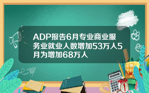 ADP报告6月专业商业服务业就业人数增加53万人5月为增加68万人