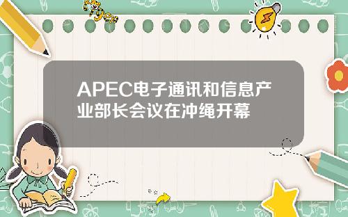 APEC电子通讯和信息产业部长会议在冲绳开幕