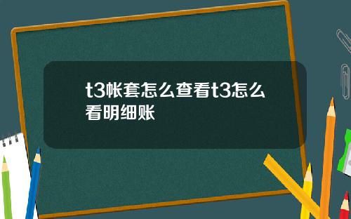 t3帐套怎么查看t3怎么看明细账