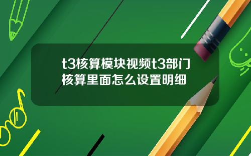 t3核算模块视频t3部门核算里面怎么设置明细