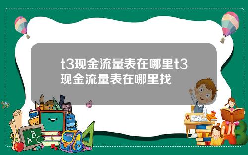 t3现金流量表在哪里t3现金流量表在哪里找