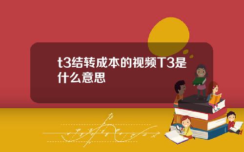 t3结转成本的视频T3是什么意思