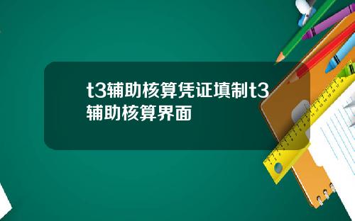 t3辅助核算凭证填制t3辅助核算界面