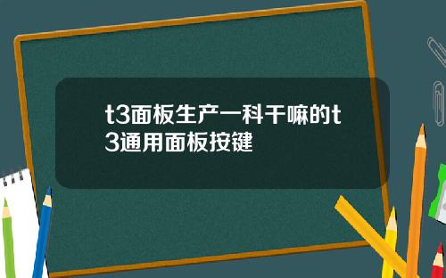 t3面板生产一科干嘛的t3通用面板按键