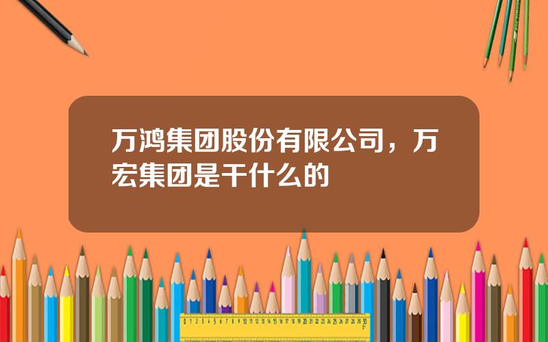 万鸿集团股份有限公司，万宏集团是干什么的