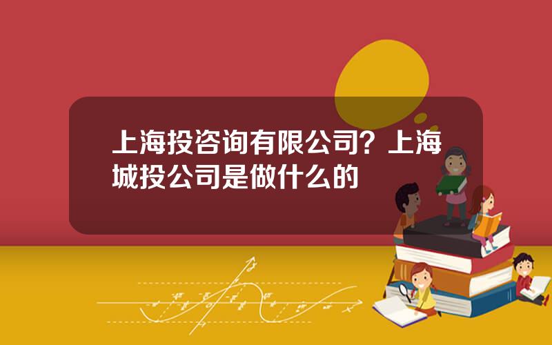 上海投咨询有限公司？上海城投公司是做什么的