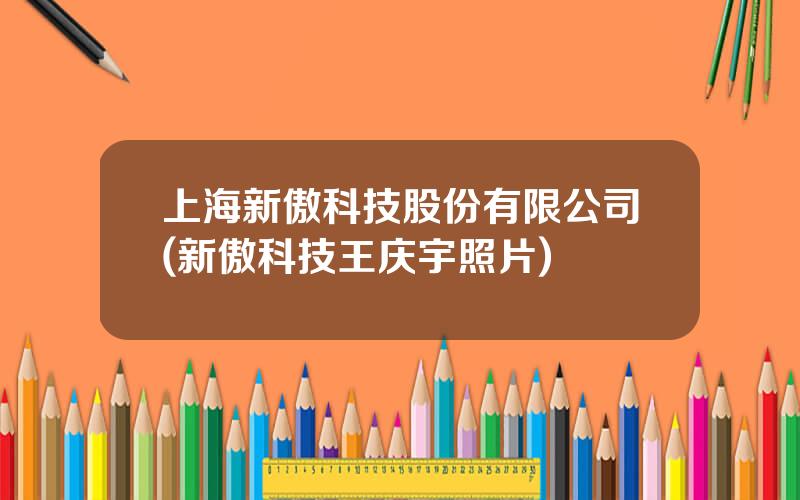 上海新傲科技股份有限公司(新傲科技王庆宇照片)