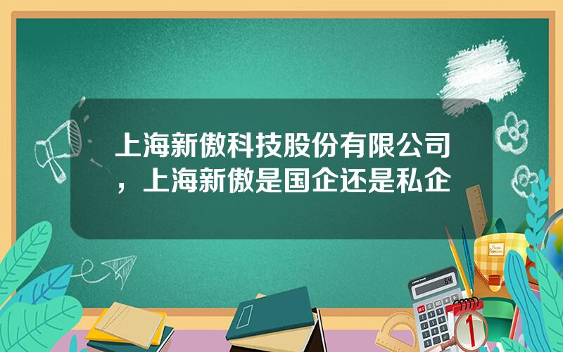 上海新傲科技股份有限公司，上海新傲是国企还是私企