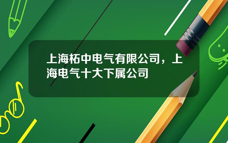 上海柘中电气有限公司，上海电气十大下属公司