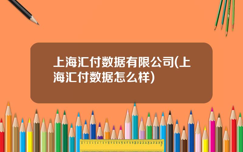 上海汇付数据有限公司(上海汇付数据怎么样)