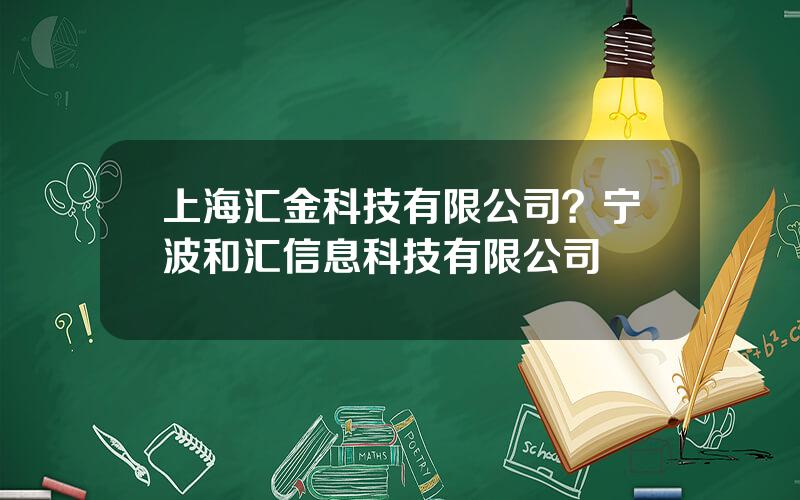 上海汇金科技有限公司？宁波和汇信息科技有限公司