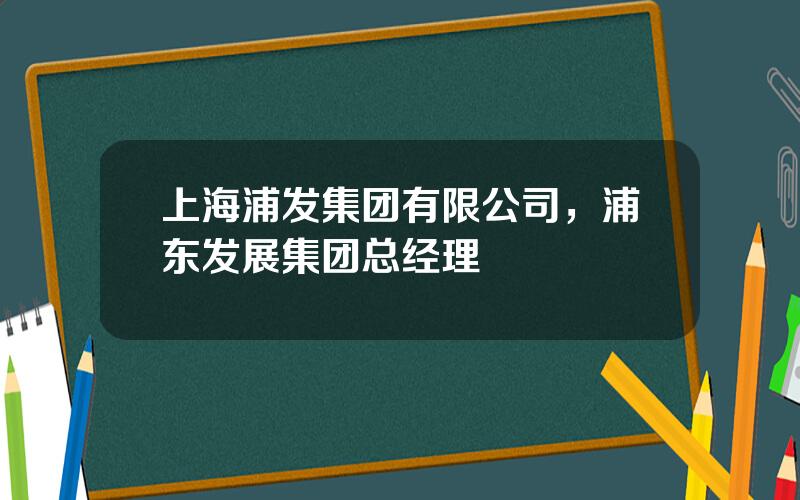 上海浦发集团有限公司，浦东发展集团总经理