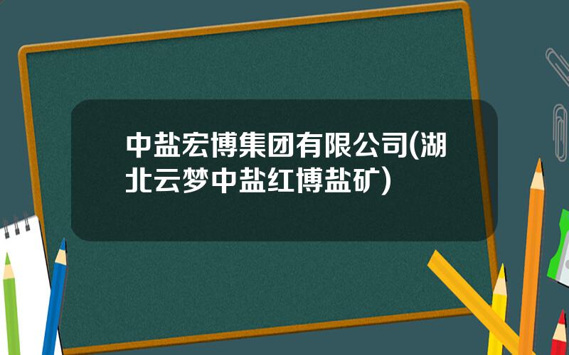 中盐宏博集团有限公司(湖北云梦中盐红博盐矿)