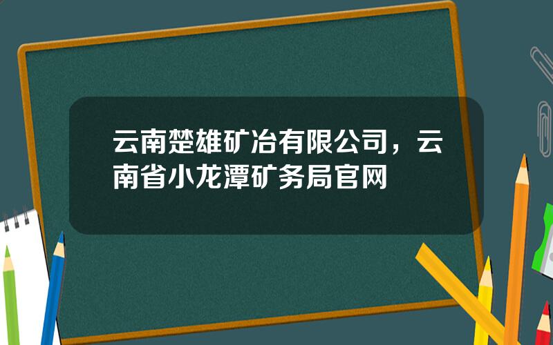 云南楚雄矿冶有限公司，云南省小龙潭矿务局官网