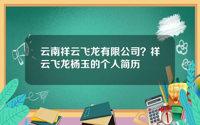 云南祥云飞龙有限公司？祥云飞龙杨玉的个人简历