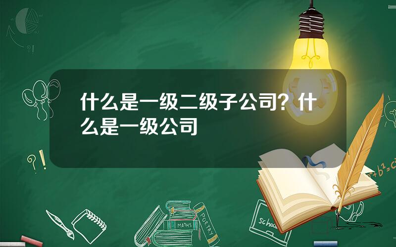 什么是一级二级子公司？什么是一级公司