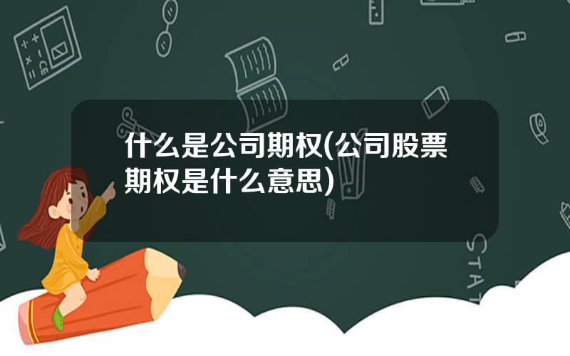 什么是公司期权(公司股票期权是什么意思)