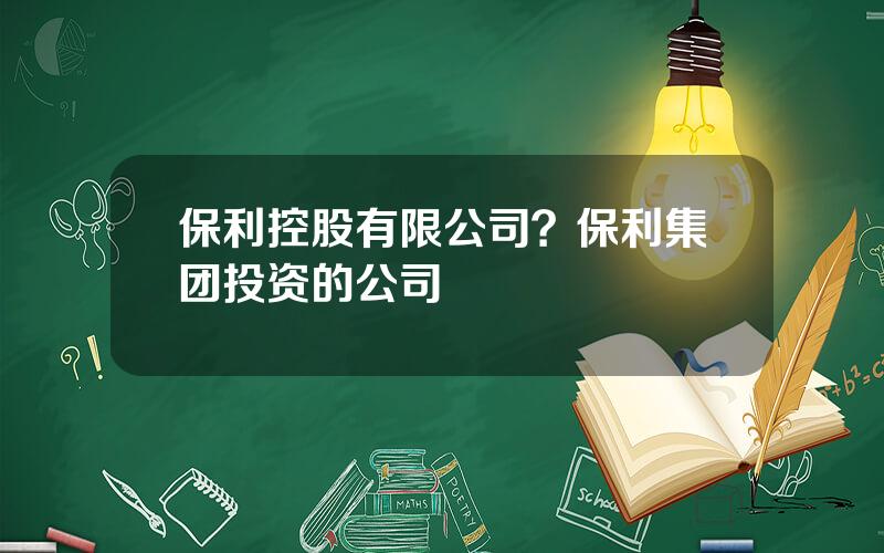 保利控股有限公司？保利集团投资的公司