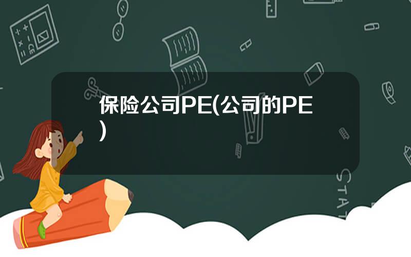 保险公司PE(公司的PE)