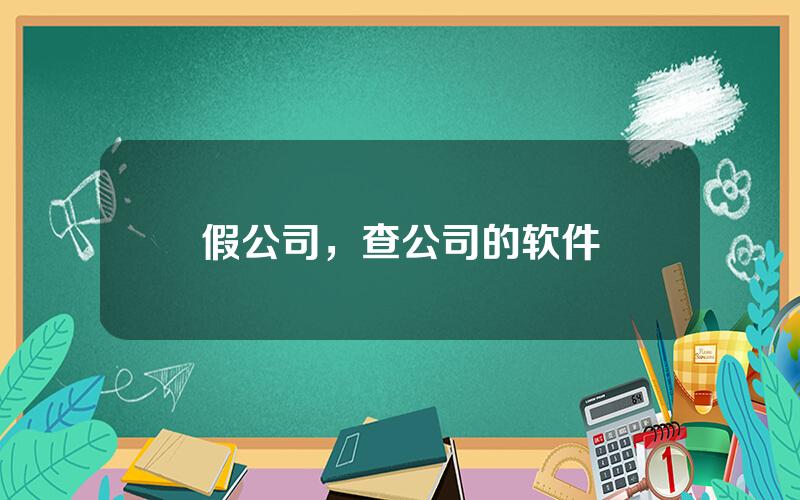 假公司，查公司的软件