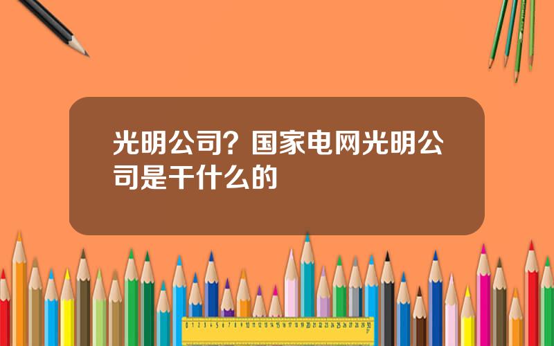 光明公司？国家电网光明公司是干什么的