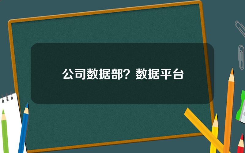 公司数据部？数据平台