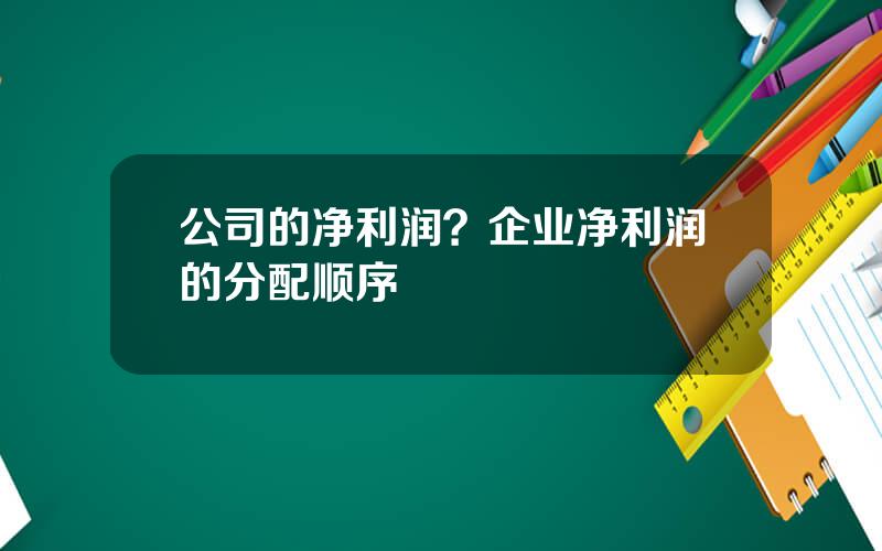 公司的净利润？企业净利润的分配顺序