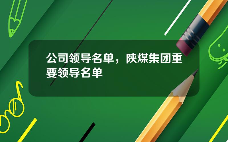 公司领导名单，陕煤集团重要领导名单