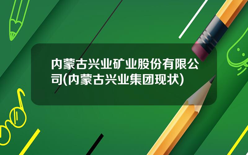 内蒙古兴业矿业股份有限公司(内蒙古兴业集团现状)