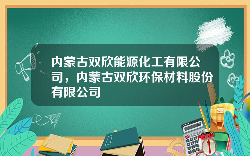 内蒙古双欣能源化工有限公司，内蒙古双欣环保材料股份有限公司