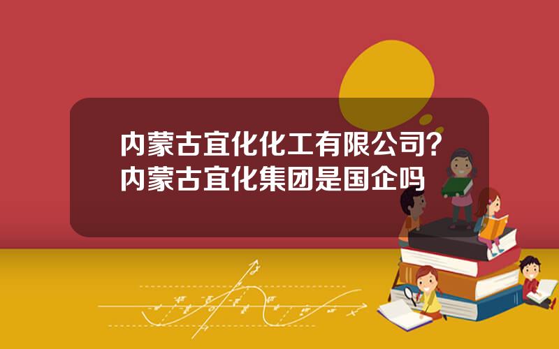 内蒙古宜化化工有限公司？内蒙古宜化集团是国企吗