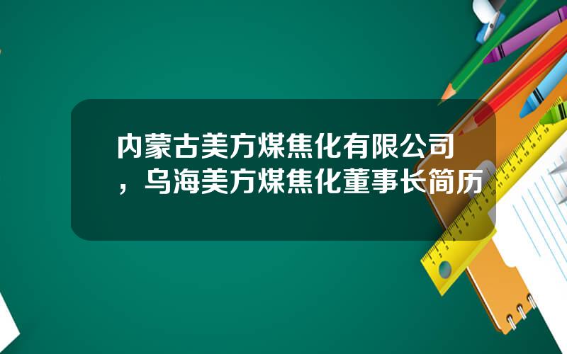 内蒙古美方煤焦化有限公司，乌海美方煤焦化董事长简历