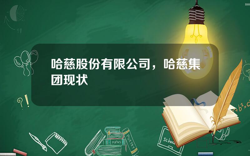 哈慈股份有限公司，哈慈集团现状