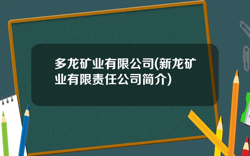 多龙矿业有限公司(新龙矿业有限责任公司简介)