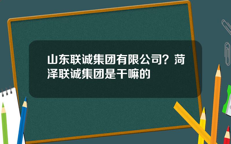 山东联诚集团有限公司？菏泽联诚集团是干嘛的