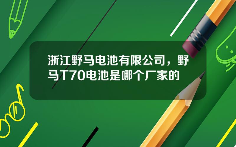 浙江野马电池有限公司，野马T70电池是哪个厂家的