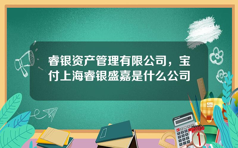 睿银资产管理有限公司，宝付上海睿银盛嘉是什么公司