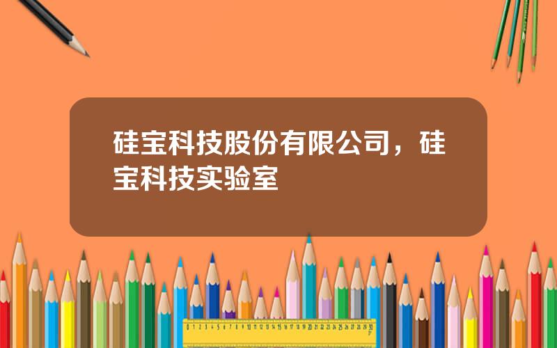 硅宝科技股份有限公司，硅宝科技实验室