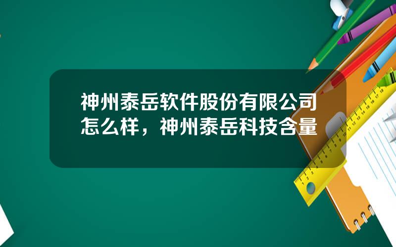 神州泰岳软件股份有限公司怎么样，神州泰岳科技含量